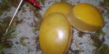 Sabonete de Fubá com mel