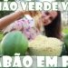 SABÃO EM PÓ DE MAMÃO VERDE
