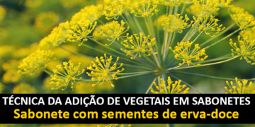 Técnica da Adição de Vegetais em Sabonetes