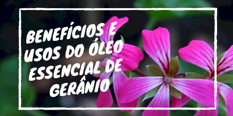 BENEFÍCIOS E USOS DO ÓLEO ESSENCIAL DE GERÂNIO