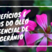 BENEFÍCIOS E USOS DO ÓLEO ESSENCIAL DE GERÂNIO