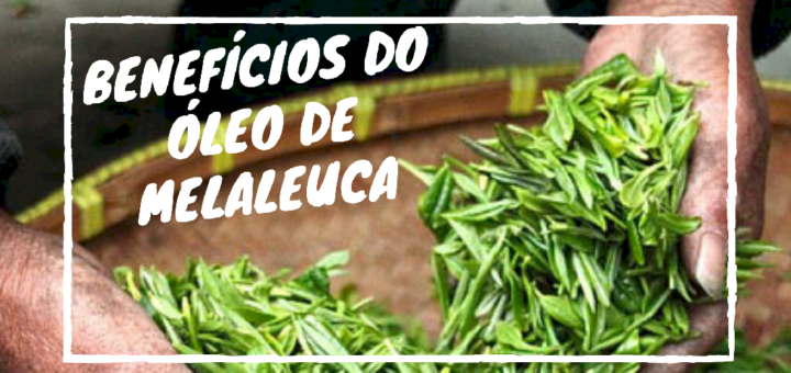 Benefícios do Óleo de Melaleuca - Tea Tree Oil