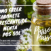 Como Fazer Sabonete Refrescante de Menta Pós Sol