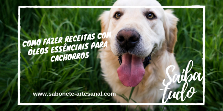 Como Fazer Receitas com Óleos Essências para Cachorros