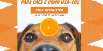 Top 7 óleos essenciais para cães e como usá-los - Guia Definitivo
