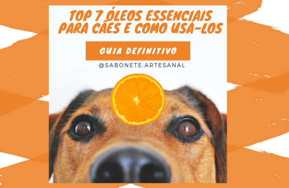 Top 7 óleos essenciais para cães e como usá-los - Guia Definitivo