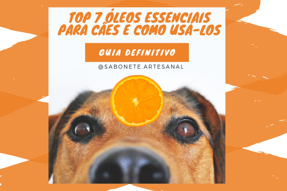 Top 7 óleos essenciais para cães e como usá-los - Guia Definitivo 