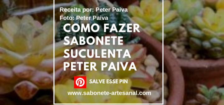 Como Fazer Sabonete Suculenta Peter Paiva