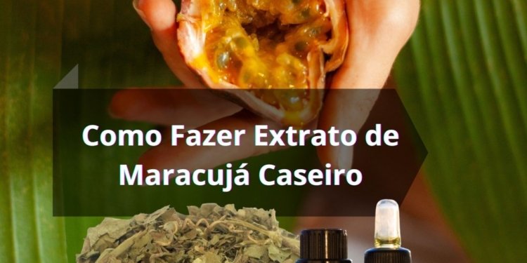 Como Fazer Extrato de Maracujá Caseiro