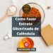 Como Fazer Extrato Glicerinado de Calêndula