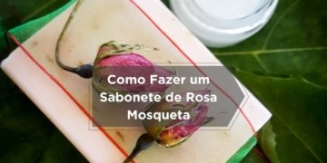 Como Fazer um Sabonete de Rosa Mosqueta