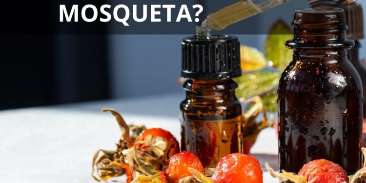 Para que é bom sabonete de rosa mosqueta