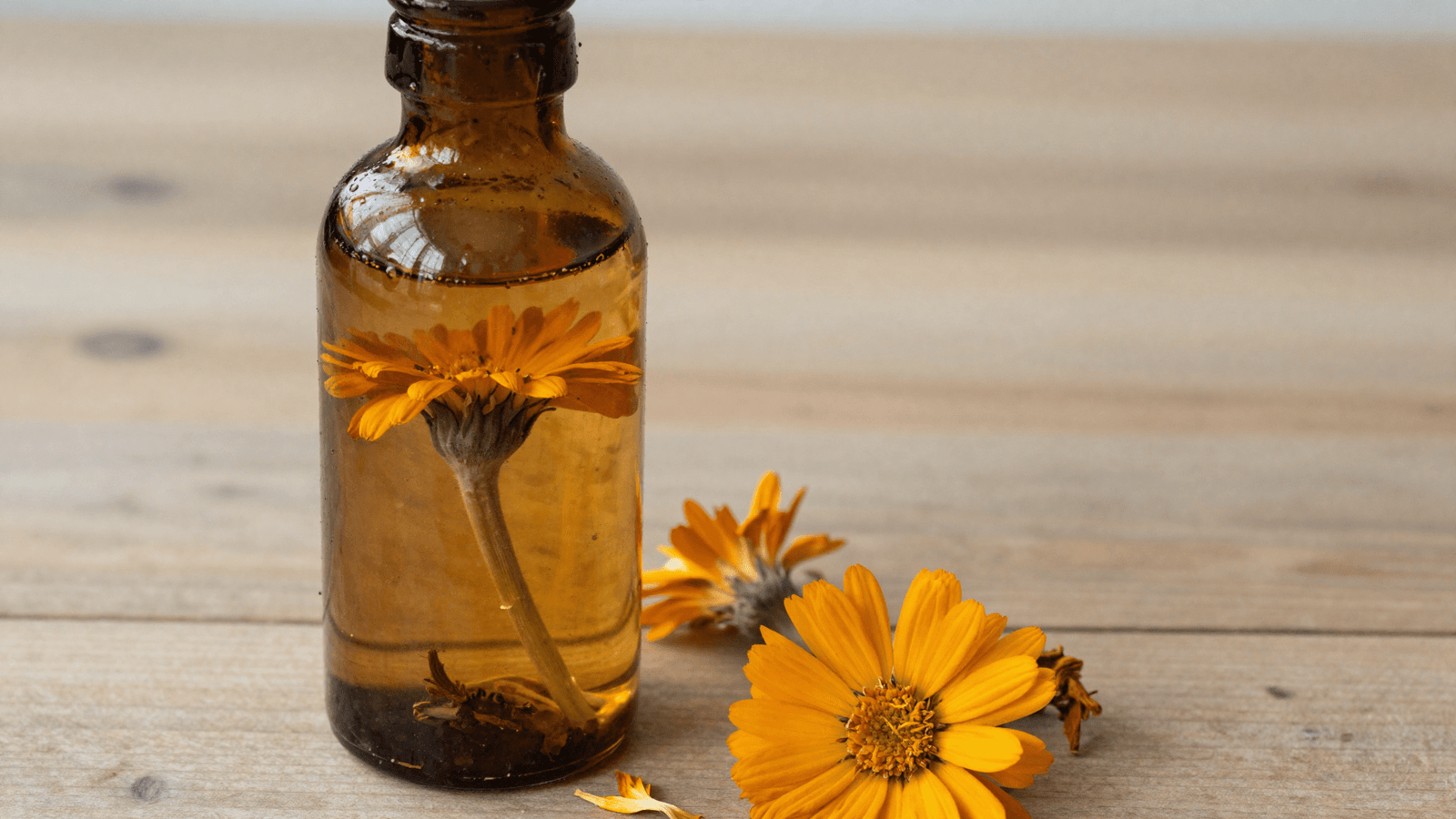 Flores de calendula secas macerando na glicerina dentro de um frasco de vidro escuro