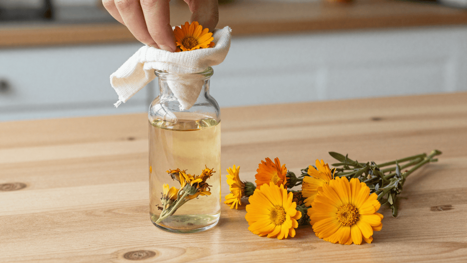 Coando o extrato glicerinado de calendula num pano fino para dentro de um frasco de vidro