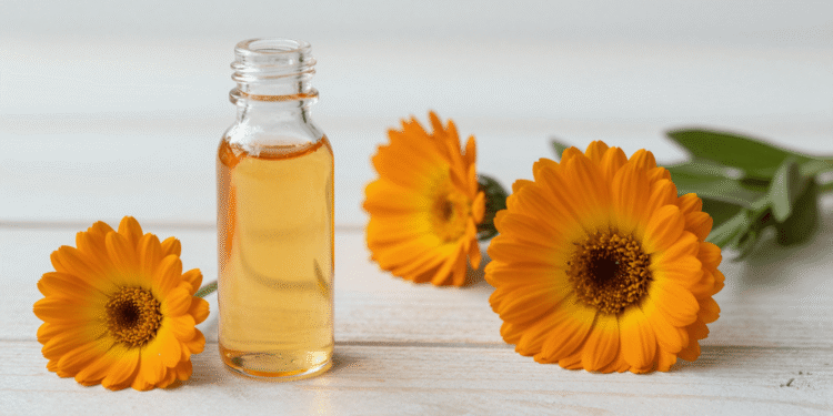 Extrato glicerinado de calendula caseiro em frasco de vidro com flores de calendula