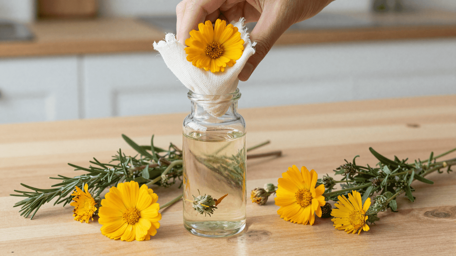 Coando o extrato glicolico de calendula num pano fino para um frasco de vidro