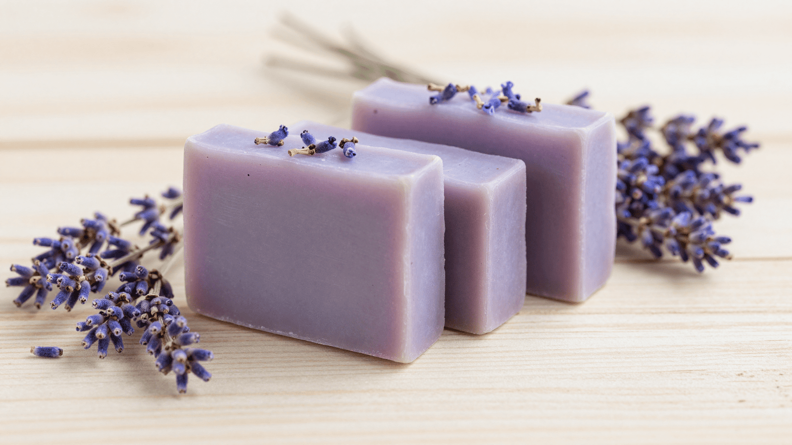 Sabonetes de lavanda lilas com botoes de lavanda e ramo fresco ao lado