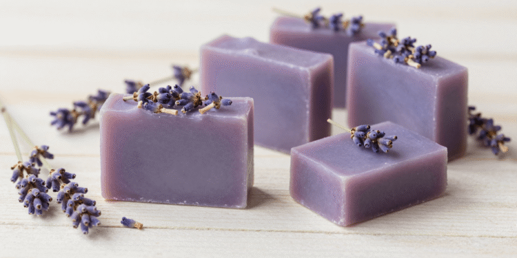 Sabonetes artesanais de lavanda lilas com botoes de lavanda secos e ramos frescos ao lado