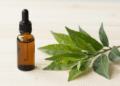 Oleo essencial de melaleuca (tea tree) num frasco ambar com ramos verdes de melaleuca ao lado