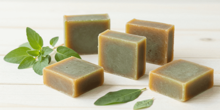 Sabonetes naturais de oregano e neem esverdeados com ramos de oregano e folhas de neem ao lado