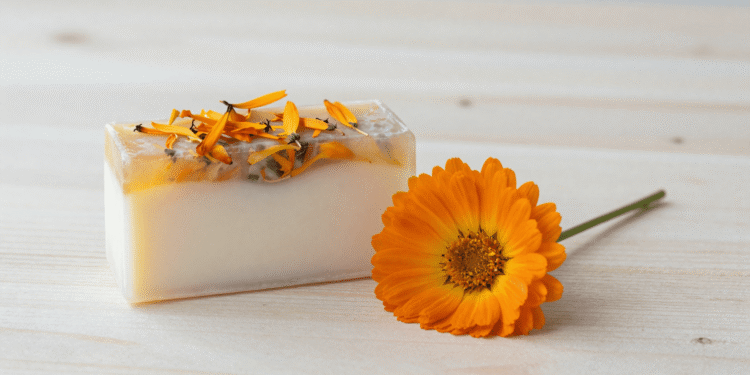 Sabonete vegetal de calendula em duas camadas com petalas suspensas e flores de calendula