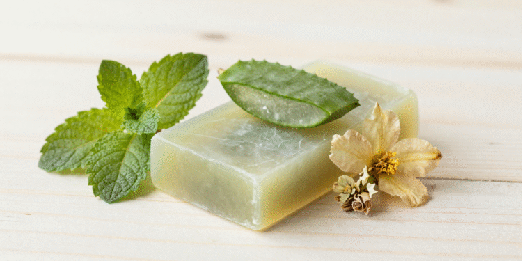 Sabonete pos-sol caseiro com malva, menta e babosa com folha de aloe vera e hortela ao lado