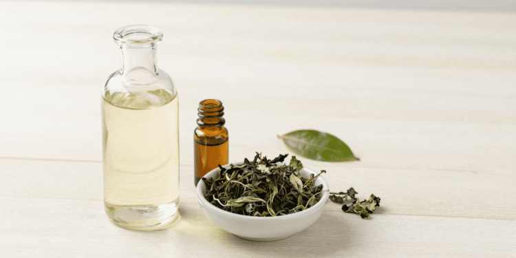 Tonico facial natural num frasco de vidro com folhas de cha verde e oleo essencial ao lado
