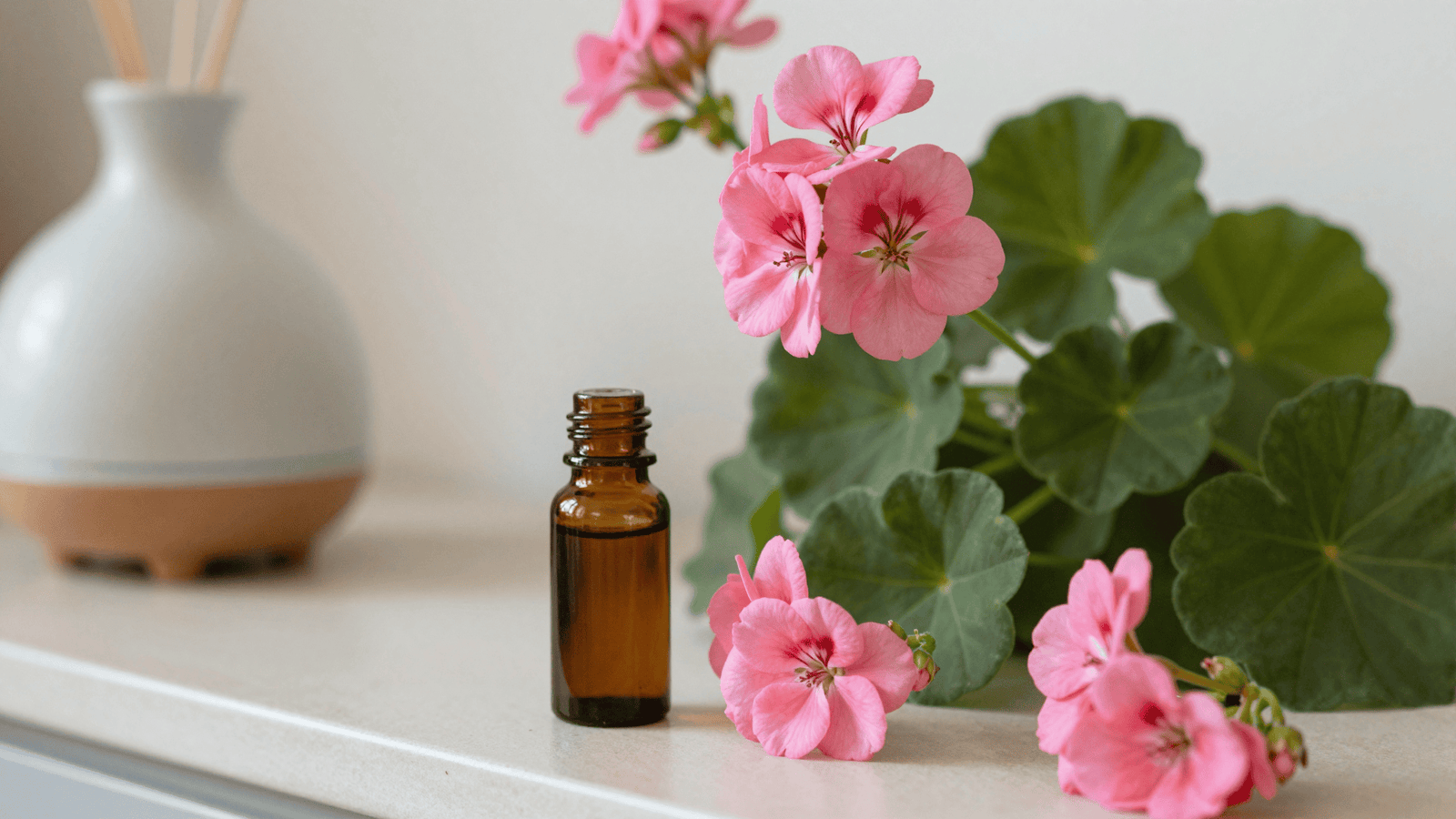 Flores de gerânio, folhas e frasco de óleo essencial ao lado de um difusor de cerâmica